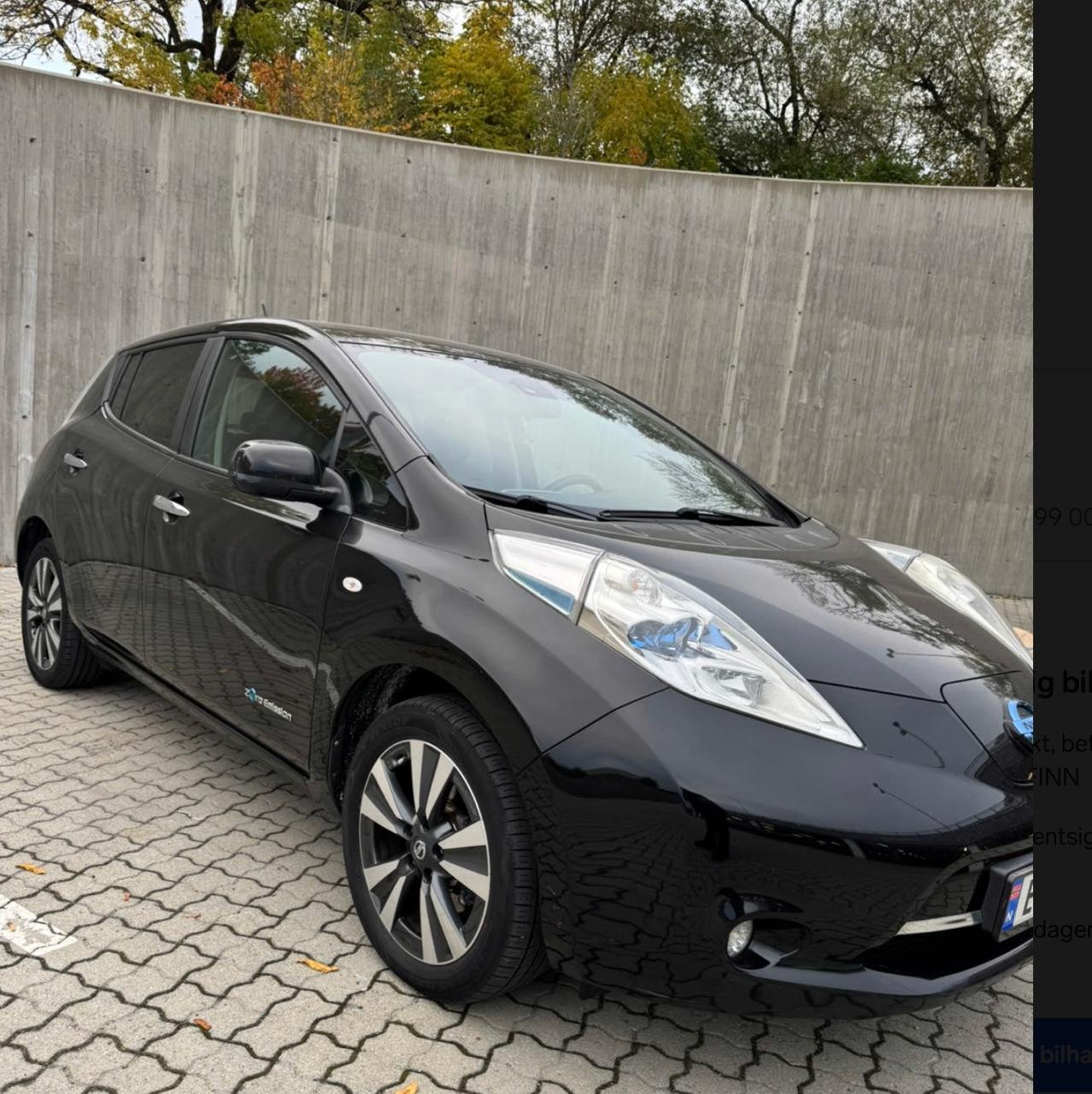 Фото - Nissan Leaf #2