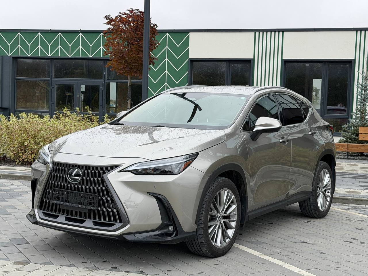Lexus NX 2.5 hybrid