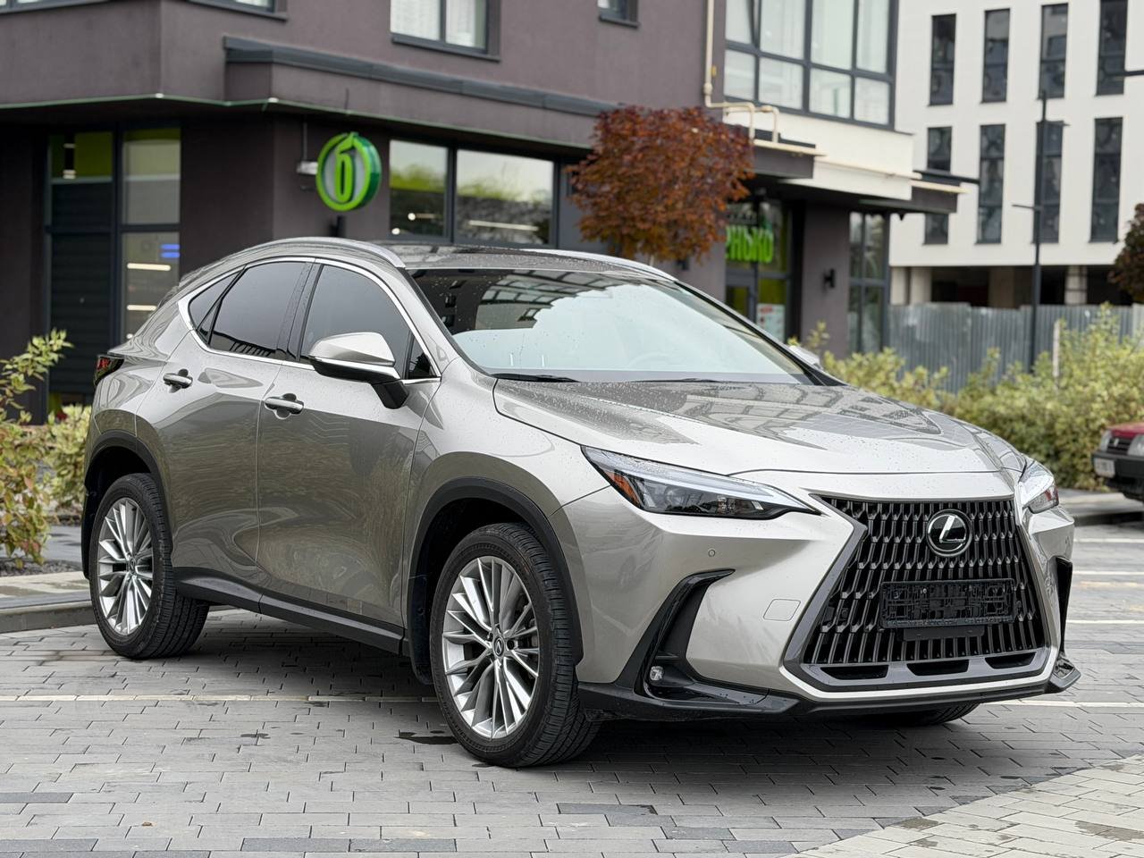 Фото - Lexus NX 2.5 hybrid #2