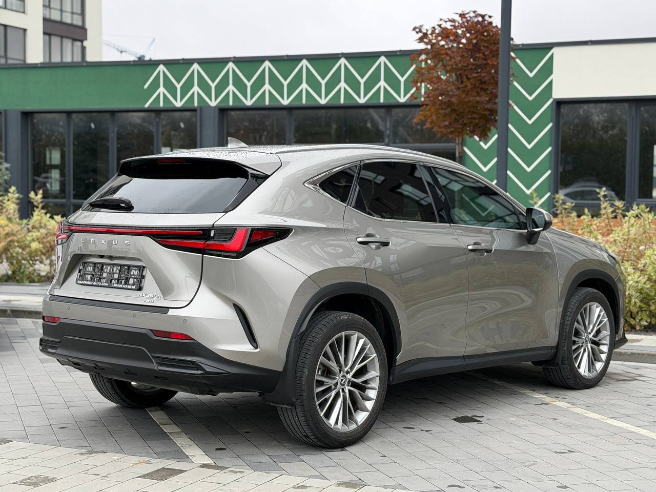 Фото - Lexus NX 2.5 hybrid #4