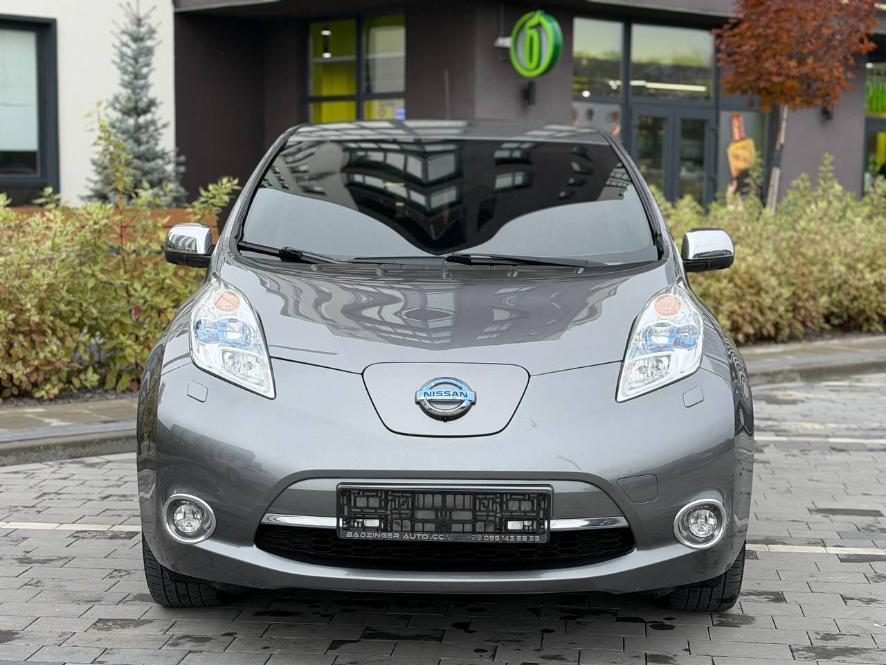 Фото - Nissan Leaf #2