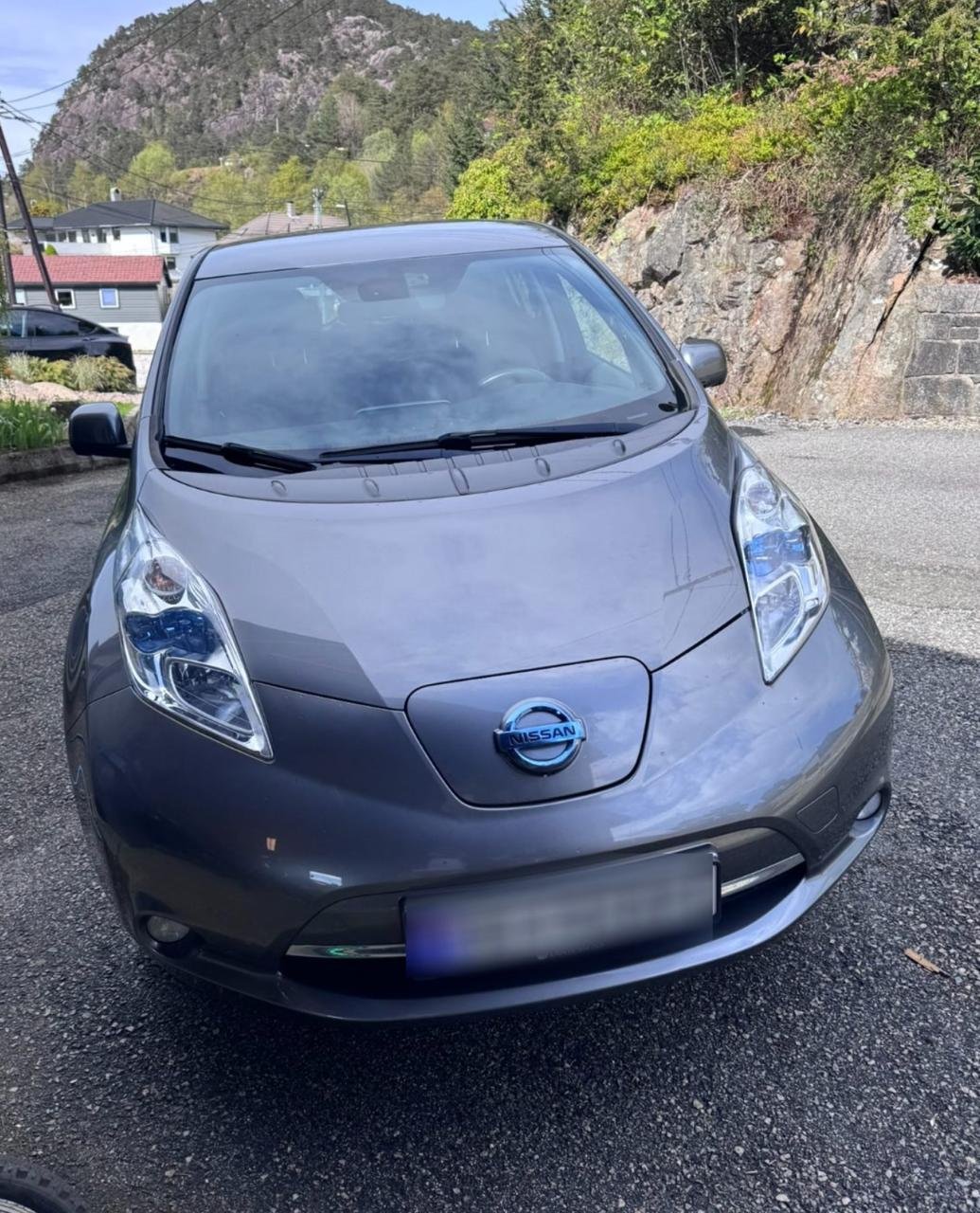 Фото - Nissan Leaf #2
