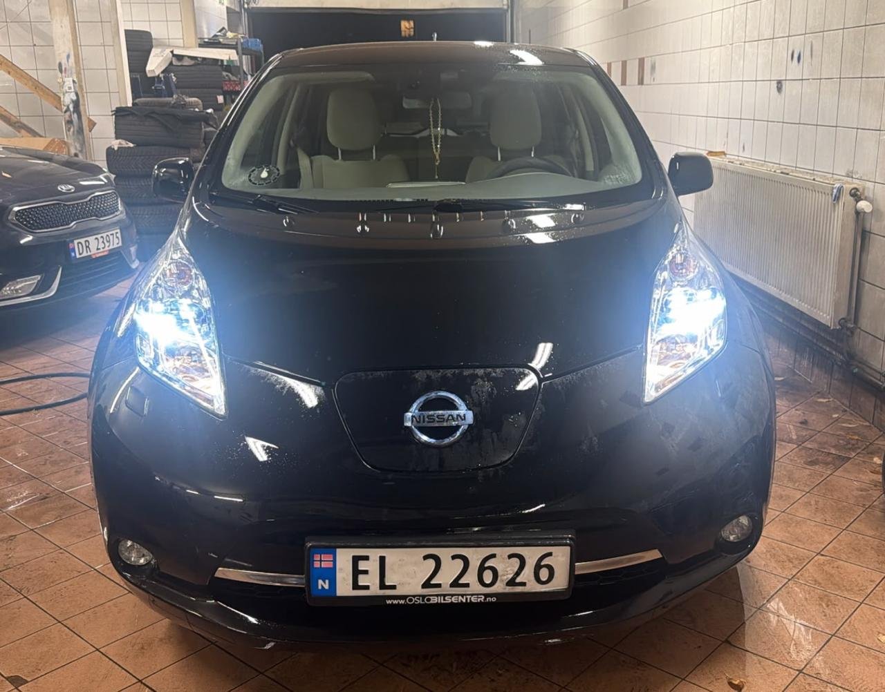 Фото - Nissan Leaf #2