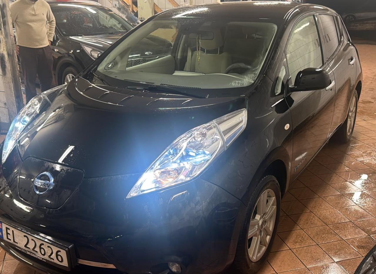 Фото - Nissan Leaf #3