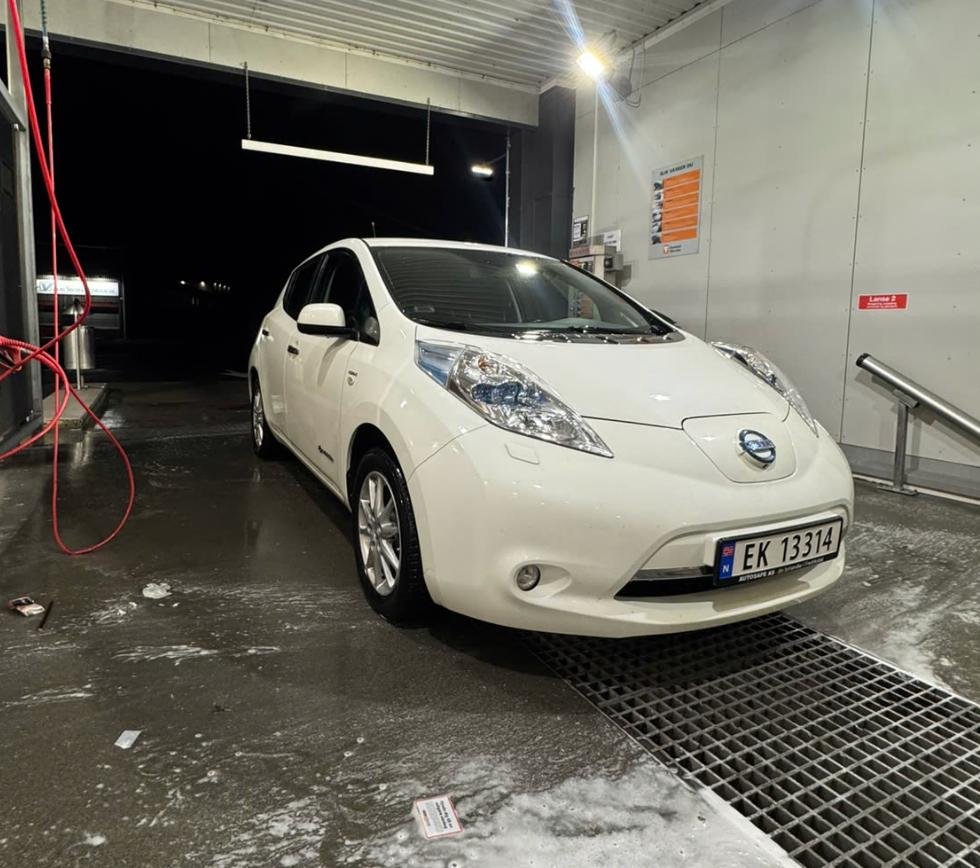 Фото - Nissan Leaf #2