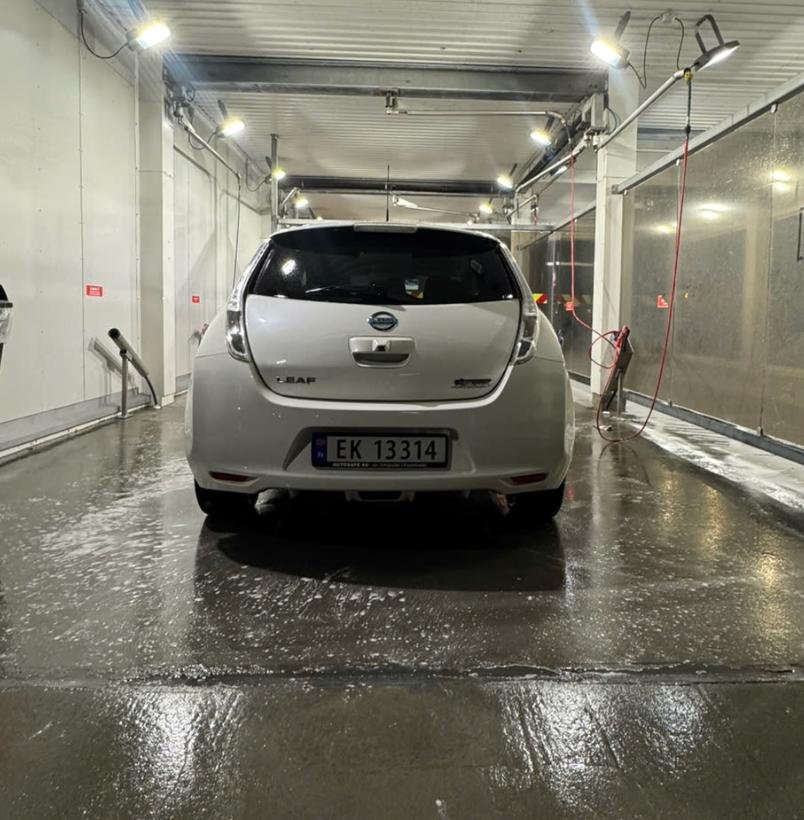 Фото - Nissan Leaf #3