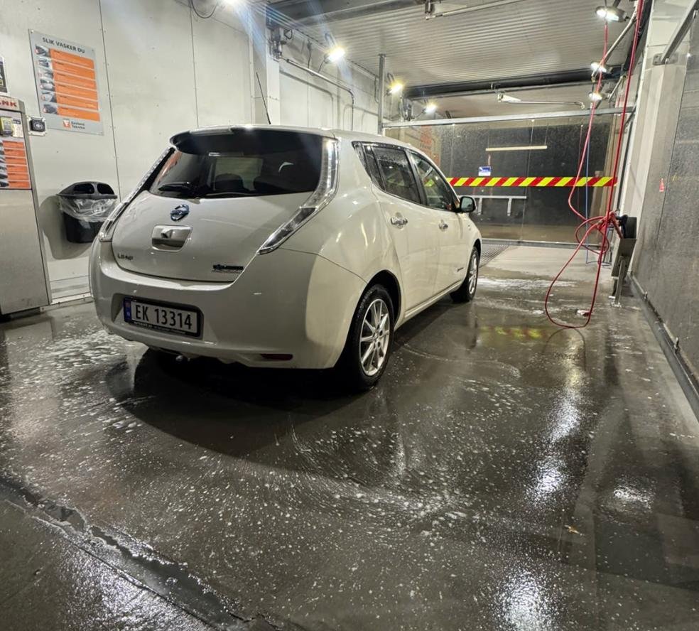 Фото - Nissan Leaf #4